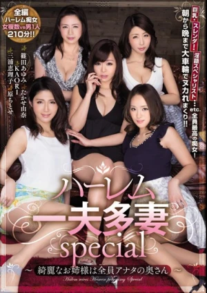 ハーレム一夫多妻special～綺麗なお姉様は全員アナタの奥さん～