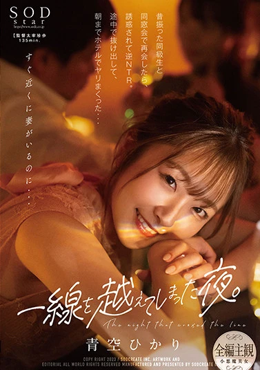 一線を越えてしまった夜。昔振った同級生と同窓会で再会したら、誘惑されて逆NTR。途中で抜け出して、朝までホテルでヤリまくった… 青空ひかり