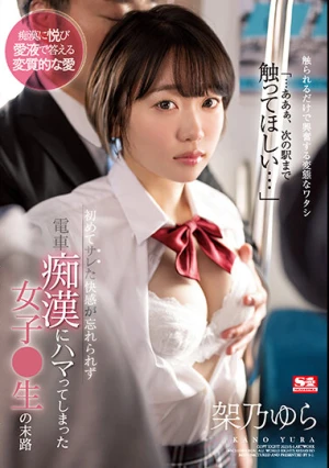  初めてサレた快感が忘れられず電車痴●にハマってしまった女子●生の末路 架乃ゆら