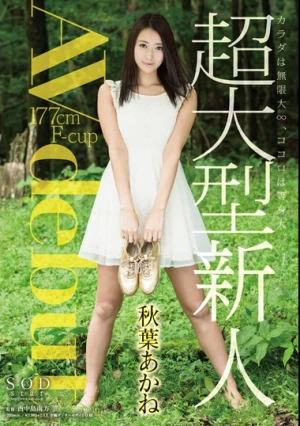 秋葉あかね AV debut