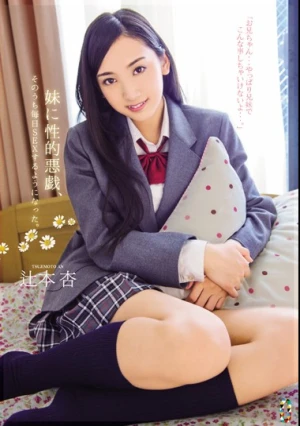  妹に性的悪戯、そのうち毎日SEXするようになった。 辻本杏