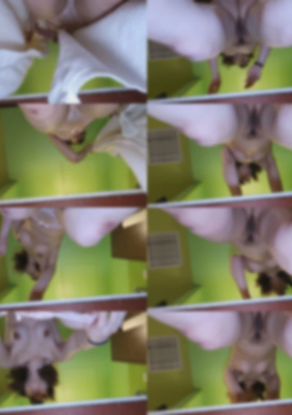 [あどけなさが残る曲線美ボディでフェラ］〈思春期真っ盛りのぴえん系童顔娘〉精子の味は苦手だけどしゃぶるの大好き！口オナホがおぢチンポで満杯ｗツインテ掴んで喉凸イラマ口内発射