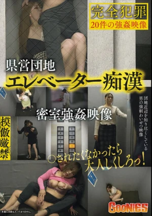  県営団地エレベーター痴● 密室強●映像