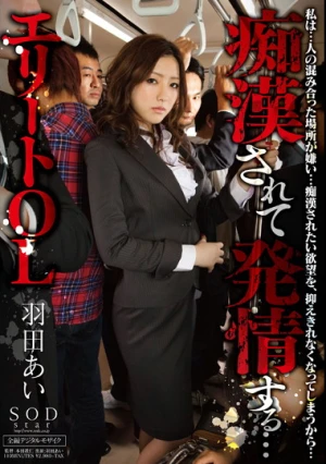 痴●されて発情する… エリートOL 羽田あい