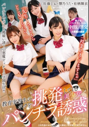 T-28648 教育実習生のボクを挑発してくる美少女パンチラ誘惑