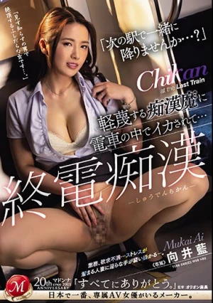 「次の駅で一緒に降りませんか…？」 終電痴● 軽蔑する痴●魔に電車の中でイカされて… 向井藍