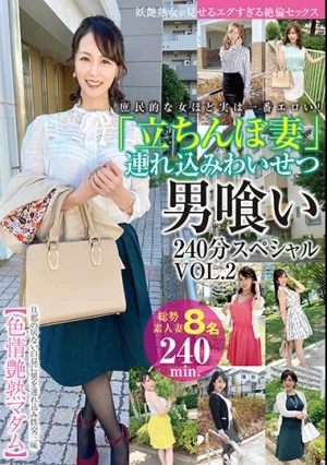 立ちんぼ妻 連れ込みわいせつ男喰い240分スペシャル VOL.2