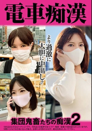  電車痴● 集団鬼畜たちの痴●2