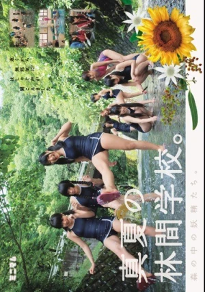  森の中の妖精たち。真夏の林間学校。