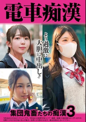  電車痴● 集団鬼畜たちの痴●3