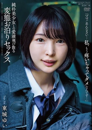 純朴美少女との愛液飛び散る変態お泊りセックス 東城ゆい