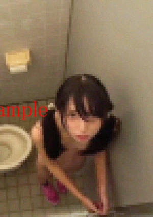 【衝撃実録】 男子トイレに迷い込んだ天使　ちょうどよかったのでそのまま中出し撮影