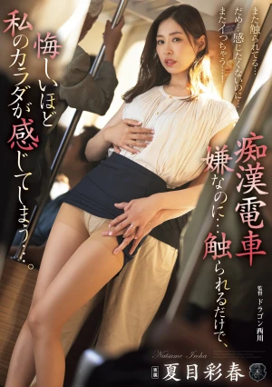 痴●電車 嫌なのに…触られるだけで、悔しいほど私のカラダが感じてしまう…。 夏目彩春