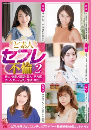 ど素人セフレ不倫2