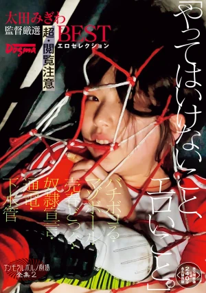  Things You Shouldn't Do, Erotic Things. Immoral Porn Theater Complete Collection 2 Beating Up, Masochistic Ball, Prostitution Dog, Slave Declaration, Electricity, Sewer Pipes. Super-Caution BEST Erotic Selection Carefully Selected By Director Ota Migiwa <Unreleased Footage Included, 240 Minutes Permanent Edition>