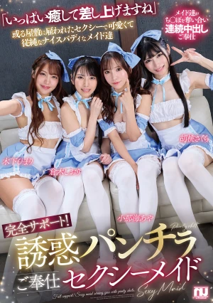 完全サポート！誘惑パンチラご奉仕セクシーメイド