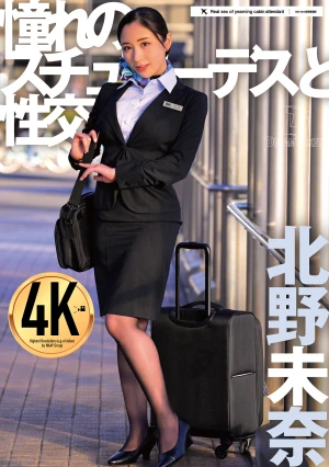 憧れのスチュワーデスと性交 北野未奈