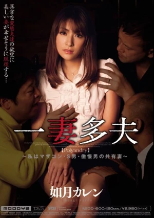 一妻多夫 ～私はマザコン・S男・傲慢男の共有妻～ 如月カレン