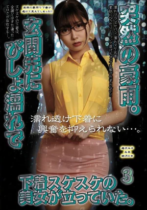 突然の豪雨。玄関先にびしょ濡れで下着スケスケの美女が立っていた。3