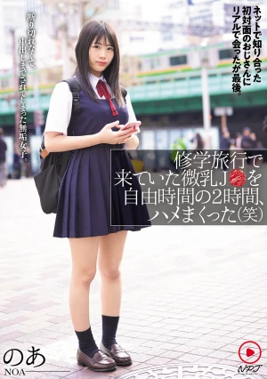 修学旅行で来ていた微乳J●を自由時間の2時間、ハメまくった（笑）ネットで知り合った初対面のおじさんにリアルで会ったが最後。断り切れなくて、中出しまでされてしまった無垢女子。