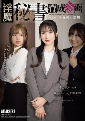  The Succubus Secretary Training Project Chapter 1: The Tragedy Of Leaving Work To Get Married
