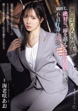  A Married Lawyer Specializing In Infidelity Cases Becomes Involved In An Affair With A Client With Whom She Absolutely Must Not Cross The Line In Her Professional Duties.