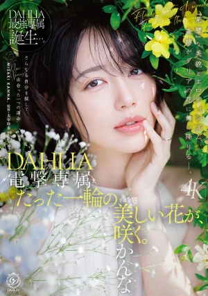 電撃専属 DAHLIA 美咲かんな たった一輪の美しい花が、咲く。