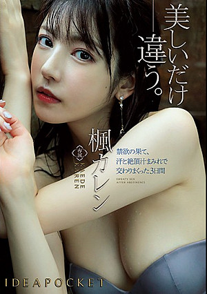 禁欲の果て、汗と絶頂汁まみれで交わりまくった3日間 楓カレン