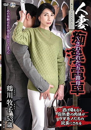 人妻痴●電車～さわられた五十路母～ 鶴川牧子