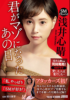 SMドキュメント 君がマゾになったあの日 浅井心晴